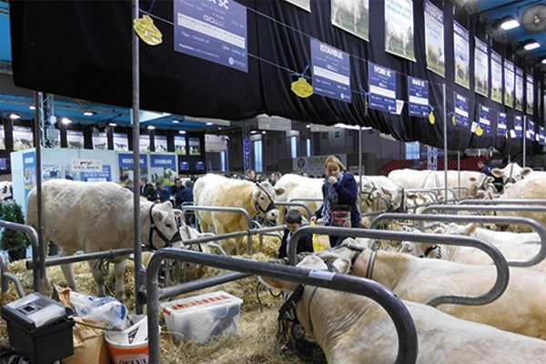 VIV TURKEY – ANIMALIA ISTANBUL Fuarları