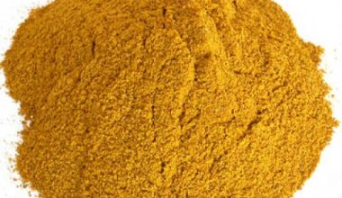 Mısır Gluteni