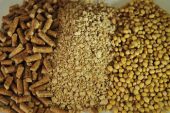 Soya Küspesi