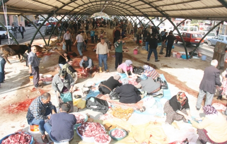 2013 YILI KURBAN TEBLİĞİ